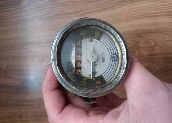 Locznik komar sztywniak