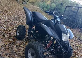 Quad Bashan 125.  3+1