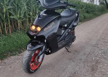 Malaguti f15
