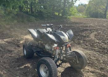 BASHAN 250