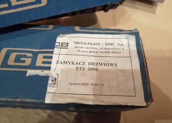 zamykacz drzwiowy STS 2000