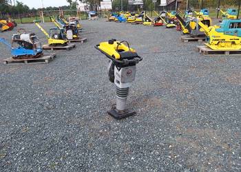 Skoczek Stopa WACKER NEUSON BS 50-2 plus 11in ammann NR 442