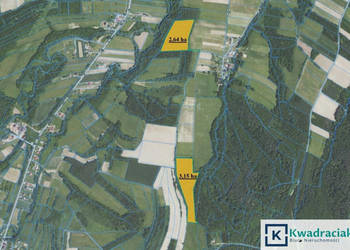 Działka 57900m2 Wolica