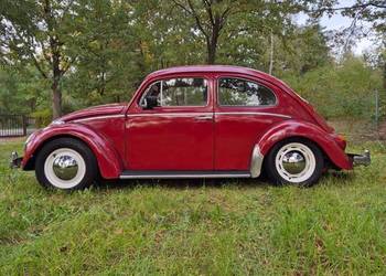 Volkswagen Garbus | Dziadek do dopieszczenia | 1963