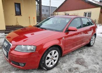 Audi A3 8P,1.9 tdi 105 koni,5 drzwiowa,hak,2006 rok