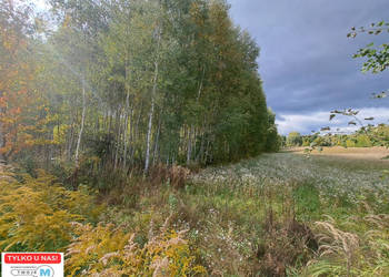 Grunt Łagów 8879m2