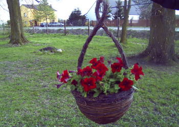 Wiklinowy kosz do zawieszenia