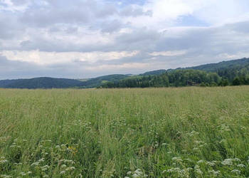 8000 m2 Zabudowa mieszkaniowa w Górach Sowich