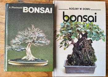 Bonsai rośliny w domu Płochocki