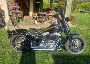 Harley Davidson Flstsb Cross Bones Springer Black