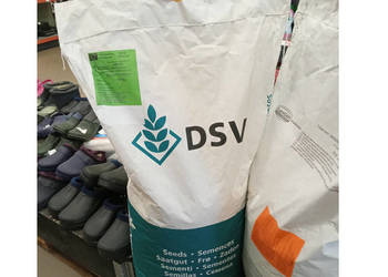 Nasiona traw DSV pastewnych na łąki trwałe, kośno-pastwiskowe