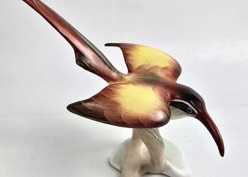 Ptak Miodojad Klary Garbera Aquincum Budapeszt lata 60te