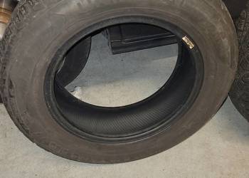 opony zimowe uniroyal ms plus 77 195/65/15