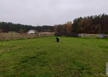 Grunt 1094m2 Kołczewo Żwirowa