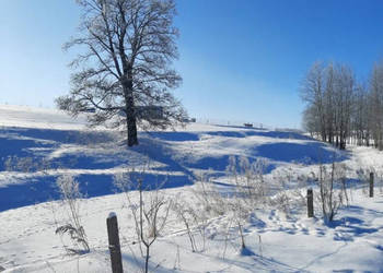 Malownicza działka w Jasionowie
