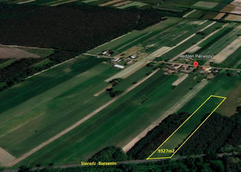 Działka 9327m2 Redzeń Pierwszy