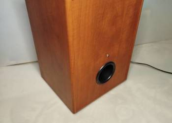 Aktywny Subwoofer Tonsil FENIX 100W