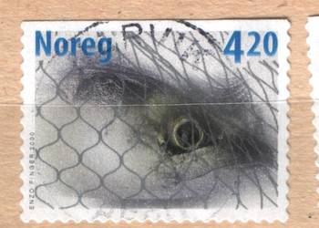 Zn. Norwegia  Mi 1355, 6 D  kas 2000