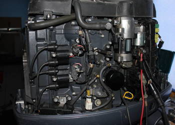 silnik zaburtowy Selva Marlin , ,Yamaha f 100