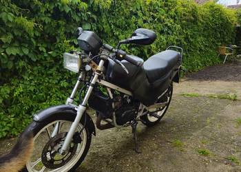 suzuki rg 80/50 gamma