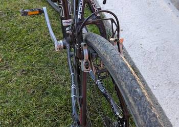 Rower Fokus Black Falls