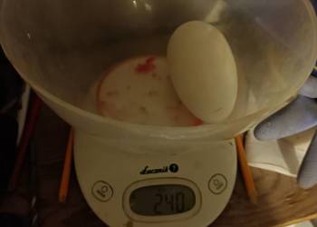 Jaja gęsie duże,2 żołtkowe