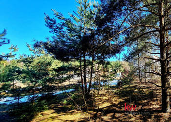 Oferta sprzedaży działki Ryjewo 2000m2