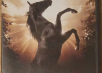 Black Beauty Warner Bros DVD