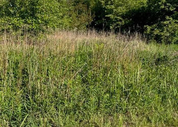 Działka 850m2 Wrocław