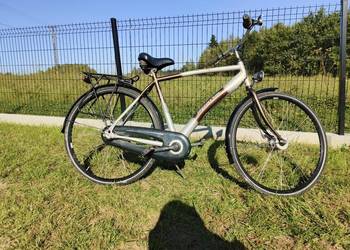 Rower Sparta 3.0 meski