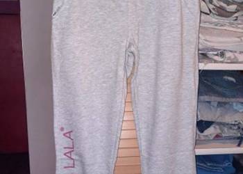 Spodnie Plny Lala Mister Grey Pants rozm. XS