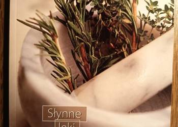 Nowa Słynne leki domowej apteki Zbigniew Przybylak