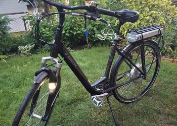 Rower elektryczny trek Alpha Platinum