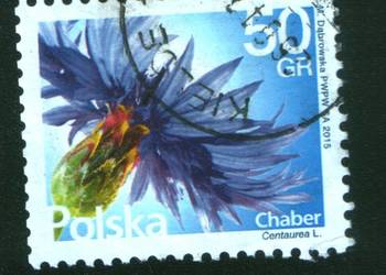 Zn. Fi 4666 kas 2016 Kielce