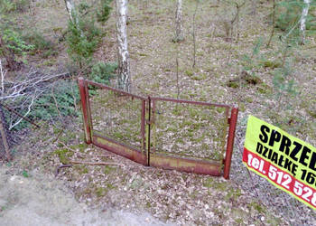 Ruda koło Radzymina, działka, BEZPOŚREDNIO