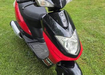Skuter Torq Znen Vivo ZNAY50