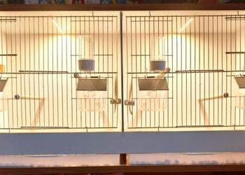 Klatka meblowa dla ptaków