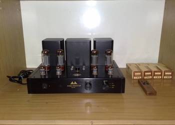 Antique Sound Lab AQ-1003 - pierwszy właściciel