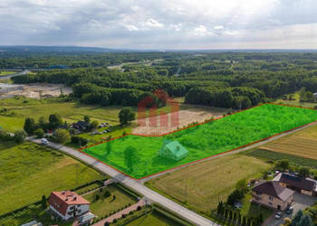 Działka Borek Wielki Króla Kazimierza Jagiellończyka 15000m2