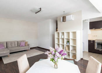 Oferta wynajmu mieszkania 45.27m2 Poznań