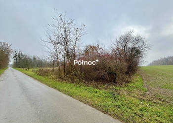 Działki rolne w okazyjnej cenie | Tymin