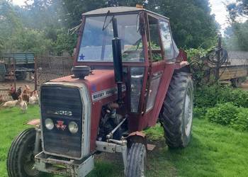 Ciągnik Massey Ferguson