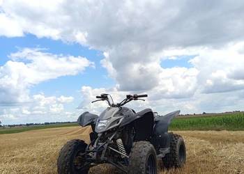 Sprzedam quada aeon cobra 220