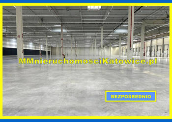 Magazyny do wynajęcia śląskie Mysłowice przy A4 i S1 plac biura socjal.