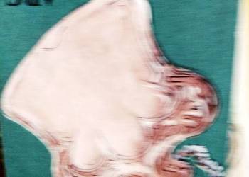 Abc porządków domowych