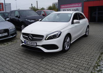 SALON POLSKA PAKIET AMG