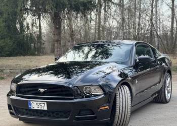 Ford Mustang V S197 2013r. z silnikiem 3.7L V6 305km