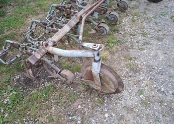 Wielorak planetka oszczędność