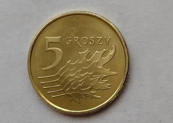 Moneta 5 groszy 2025  z błędem tłoczenia