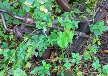 Pług dwuskibowy - brak przekladni